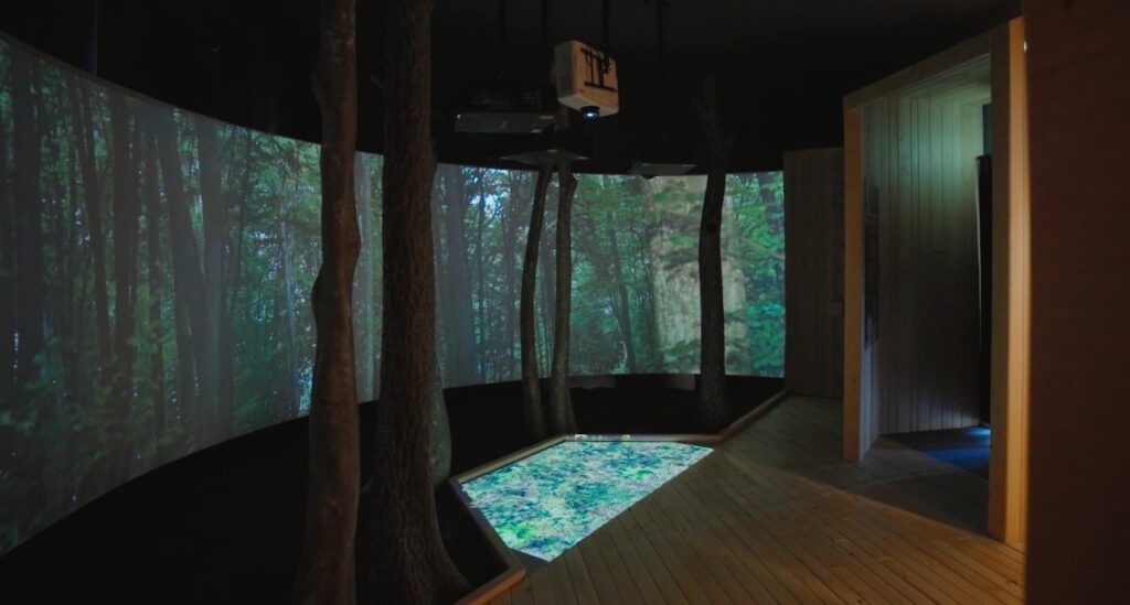 Virovitica, Najbolje iz Hrvatske - Morate vidjeti